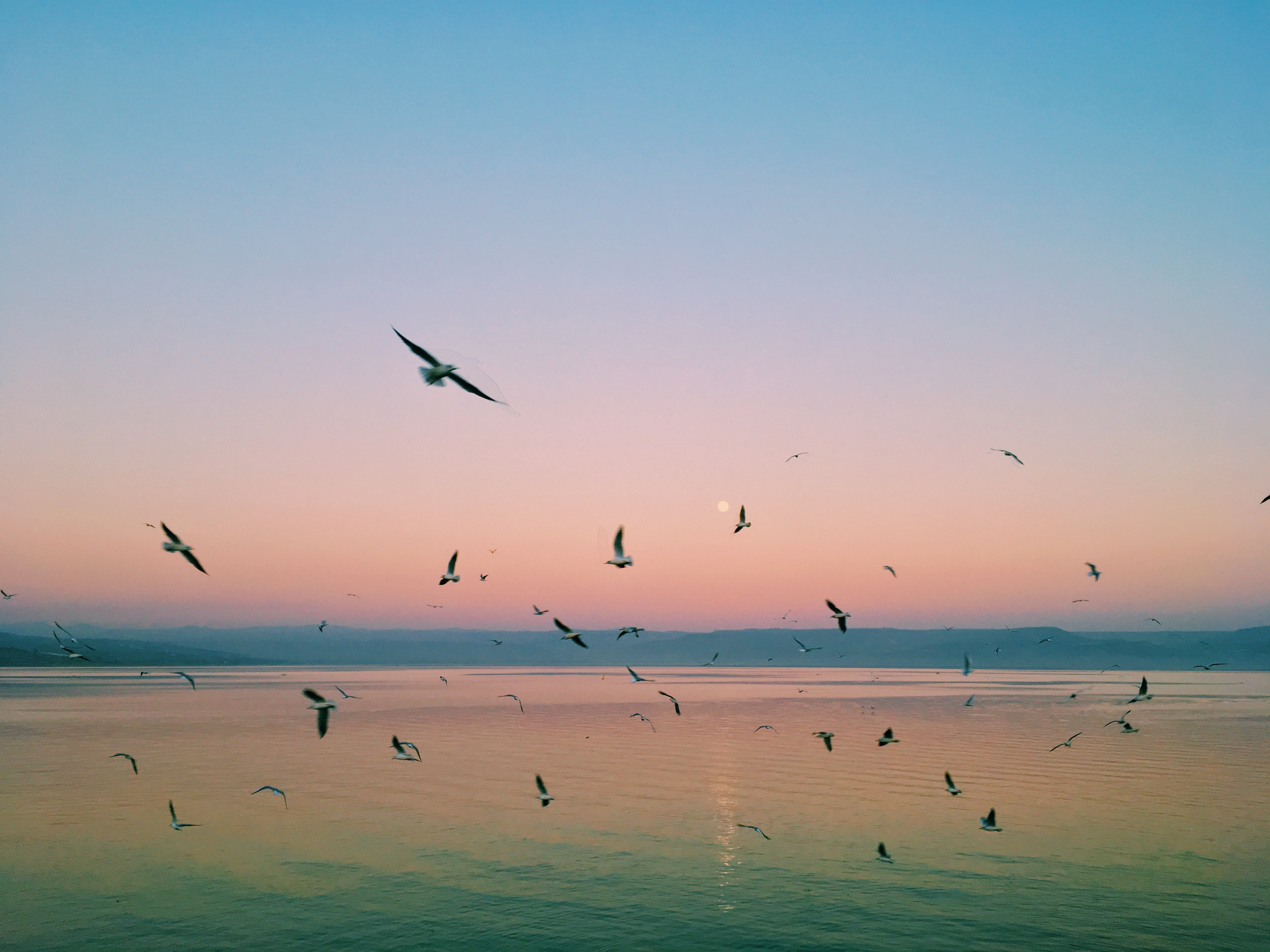 Sea of Galilee